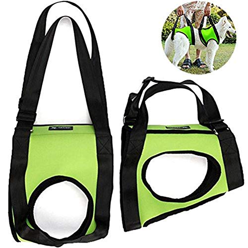 Csheng Tragehilfe Hund Geschirr Hund Hundetragling Hundeschlingen für kleine Hunde Easy Walk Hundegeschirr Geschirr für alte und verletzte Hunde Green,Front-Leg-l von Csheng