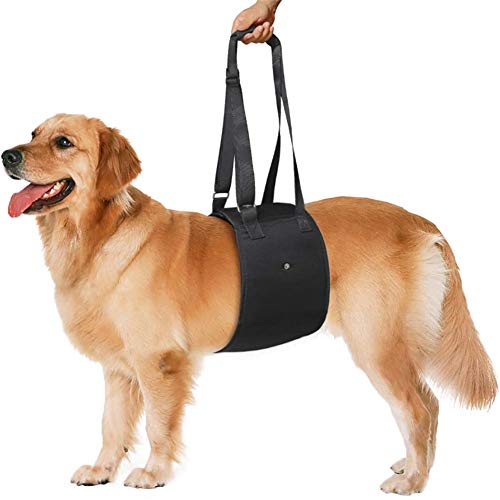 Csheng Tragehilfe Hund Hundegeschirr Hundestützgurt für die Hinterbeine Hundegeschirr Pet Sling Carrier Hundelift Unterstützung Gehhilfe für Haustiere Black,S von Csheng