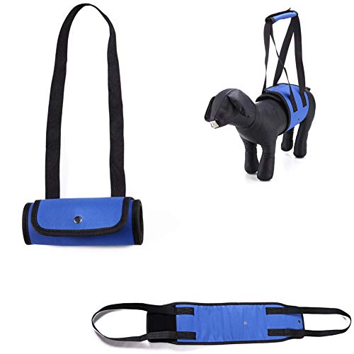 Csheng Tragehilfe Hund Hundegeschirr Hundestützgurt für die Hinterbeine Hundegeschirr Pet Sling Carrier Hundelift Unterstützung Gehhilfe für Haustiere Blue,L von Csheng