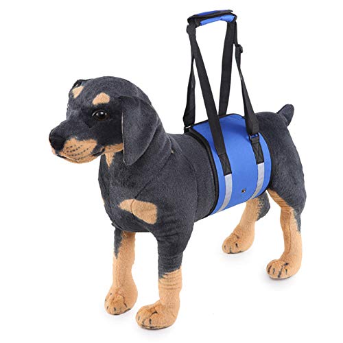 Csheng Tragehilfe Hund Hundegeschirr Hundestützgurt für die Hinterbeine Hundegeschirr Pet Sling Carrier Hundelift Unterstützung Gehhilfe für Haustiere Reflective-Blue,S von Csheng