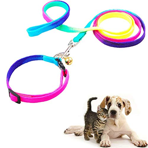 Csheng Trainingsleine Für Hunde Hundeleine Und Halsband Set Bunte Haustierleine Hundekette Regenbogenhalsband Katze Hundeleine Hundetrainingsleine Für Laufen Im Freien Laufleine von Csheng