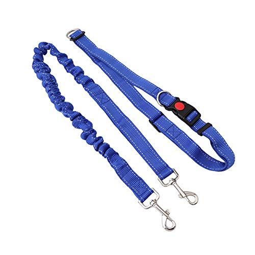 Csheng Trainingsleine Für Hunde Hundeleinen Hundeleine Seil Hundeleine Elastische Laufleine Haustierleine Outdoor Sport Hundeleine Hundetraining Für Outdoor Training Laufleine Blue von Csheng