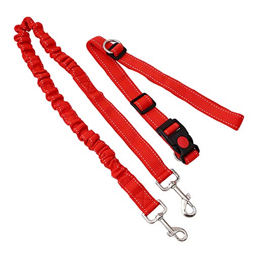 Csheng Trainingsleine Für Hunde Hundeleinen Hundeleine Seil Hundeleine Elastische Laufleine Haustierleine Outdoor Sport Hundeleine Hundetraining Für Outdoor Training Laufleine red von Csheng