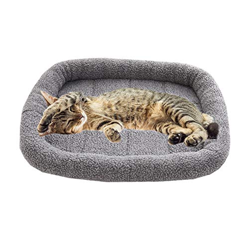 Csheng Winter Warmes Katzenbett Quadratischer Lammwolle-Zwinger Neue Haustiermatte Winterhundematte Kleiner Und Mittelgroßer Hund Winter-Haustierbedarf Warmer Katzenstreu Für Den Gray,M von Csheng