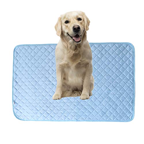 Hund Cool Pad Haustier Coole Matte Haustier Eisseidenmatte Haustier Kühlkissen Katze Kühlmatte Decke Für Haustier Reine Farbe Haustierbedarf Kaltes Haustier Cooles Kissen Small von Csheng