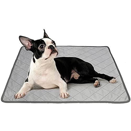 Hund Coole Matte Hund Cooling Matte Hund Cool Pad Haustier Coole Matte Pet Ice Silk Mat Ice Pad Für Hunde Und Katzen Im Sommer Pet Ice Pad Für Hunde Katzen Im Heißen Sommer Large von Csheng