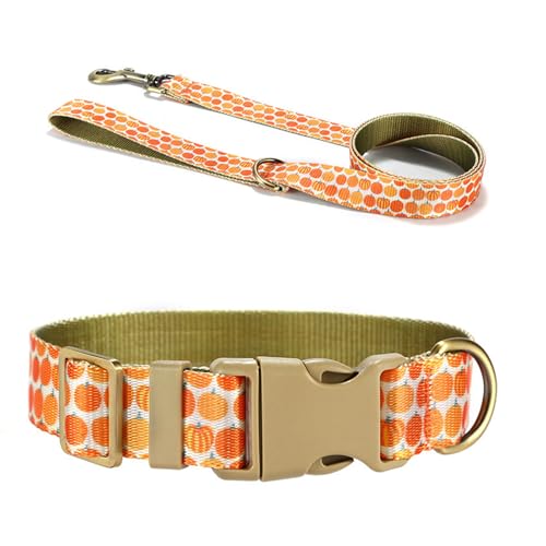 Csnbfiop Hundeleine Hundegeschirr Halsband Mit Schönem Kürbishalsband Seil 1 2 M Lang Für Starkes Training Wandern Schwimmen Wandern von Csnbfiop