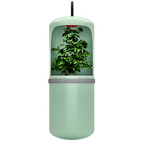 Ctzrzyt Automatisches Wassertrinken Reptil Trink Wasserbrunnen FüTterungs Terrarium Amphibien -EU Stecker von Ctzrzyt