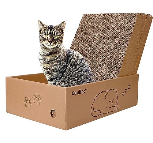 AccEncyc Extra großer Katzenkratzer aus Karton mit Box – Katzenkratzbox mit 5 Stück 41,9 x 28,4 cm Katzenkratzern für Indoor-Katzen, wendbares Katzenkratzpad – Design B von Cualfec