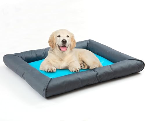 CuisinAid Kühlendes Hundebett, selbstkühlende Matte für kleine, mittelgroße Hunde, langlebig, Wasserbett, Sommer, Wärmeableitung, bissfest und verschleißfest von CuisinAid