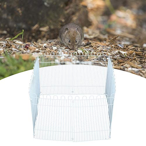 Verrückter Hamster Zaun 8PCS Pet Laufstall, Hamster Zaun, großes Eisennetz Laufstall Spielzeug für Igel Meerschweinchen von Cuque