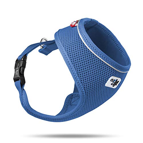 Basic Harness Air-Mesh Blue XS von Curli