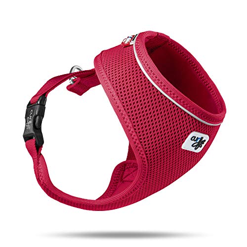 Basic Harness Air-Mesh Red S von Curli