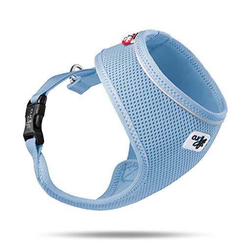 Basic Harness Air-Mesh Skyblue S von Curli