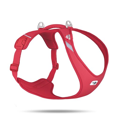 Belka Harness Air-Mesh Red 2XL von Curli