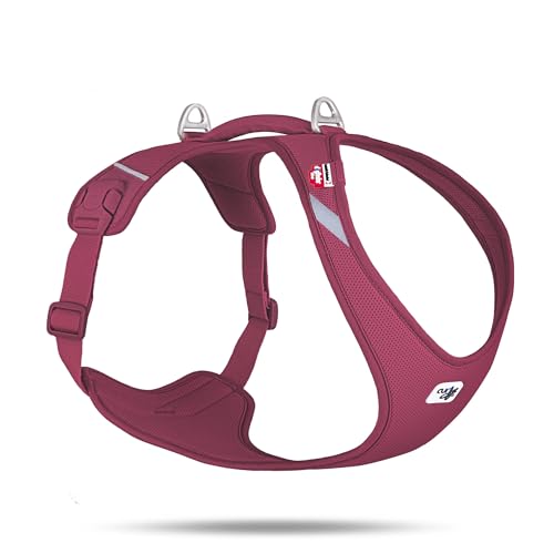 Belka Harness Air-Mesh Ruby 2XL von Curli