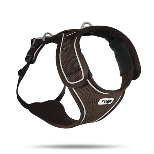 Belka Harness Brown L von Curli