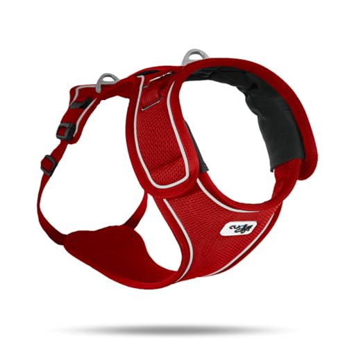 Belka Harness Red XL von Curli