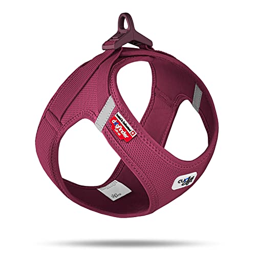 Vest Harness curli Clasp Air-Mesh Ruby 3XS von Curli