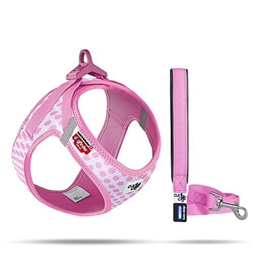 Vest Harness curli Clasp Air-Mesh Pink-Circles 2XS & Leash M von Curli