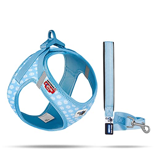 Vest Harness curli Clasp Air-Mesh SkyBlue-Circles 3XS & Leash M von Curli