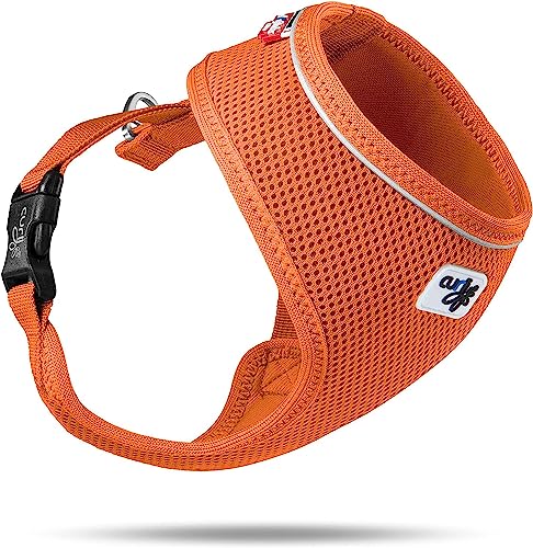 Basic Harness Air-Mesh Orange L von Curli