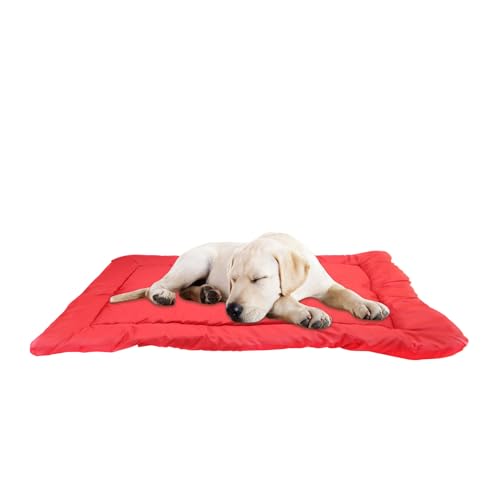 Cushangty Outdoor Hundebett,Tragbarer Camping Reise Hundesessel - Zusammenrollbare Matte Transportabel Und Waschbar Für Reisen Für Hunde Und Katzen Aller Größen Für Innen Und Cushangty Outdoor Hundebett,Tragbarer Camping Reise Hundesessel - Zusammenrollbare Matte Transportabel Und Waschbar Für Reisen Für Hunde Und Katzen Aller Größen Für Innen Und von Cushangty