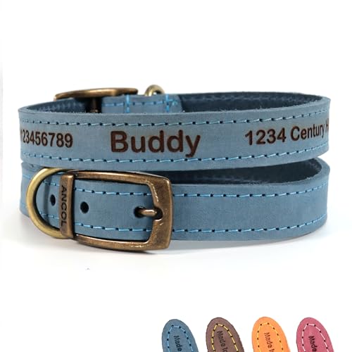 Personalisiertes Lederhalsband für Hund + optionale Leine | Lasergravur - Blau, Größe 2 von CustomDesign.Shop