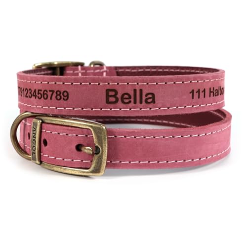 Personalisiertes Lederhalsband für Hund + optionale Leine | Lasergravur - Rot, Größe 2 von CustomDesign.Shop