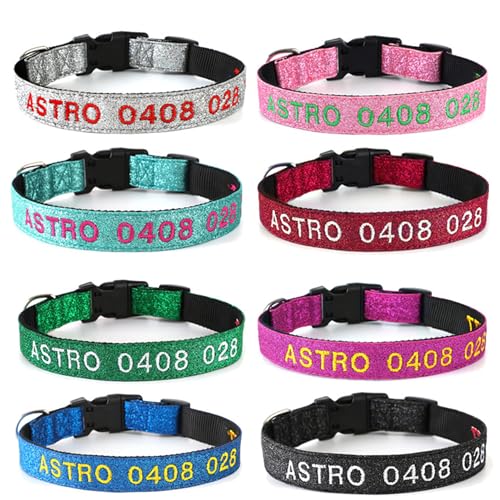 Personalisiertes reflektierendes Hundehalsband mit Haustiernamen und Telefonnummer, besticktes Nylon, maßgeschneidertes Halsband für Welpen, kleine, mittelgroße und große Jungen, Mädchen, Hunde von CustomizeFactory