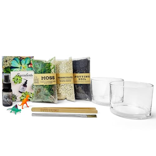 Cute Farms Glas-Terrarium-Set | Fügen Sie einfach Ihre eigenen Pflanzen hinzu (zwei Glaszylinder (8,3 cm)) von Cute Farms