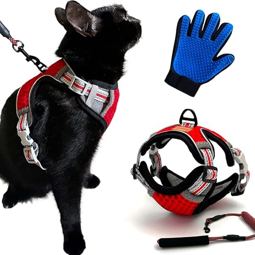 CutePet,Anti-Ausfluchtgeschirr für Kätzchen, Katzen für Erwachsene, Welpen, kleine Hunde, Kaninchen mit Handschuh, Katze, verstellbar, mit Leine,atmungsaktives Netz und reflektierendes Band (L, rot) von Cute Pet