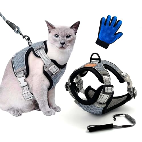 CutePet,Anti-Ausfluchtgeschirr für Kätzchen, Katzen für Erwachsene, Welpen, kleine Hunde, Kaninchen mit Handschuh, Katze, verstellbar, mit Leine,atmungsaktives Netz und reflektierendes Band (L, grau) von Cute Pet