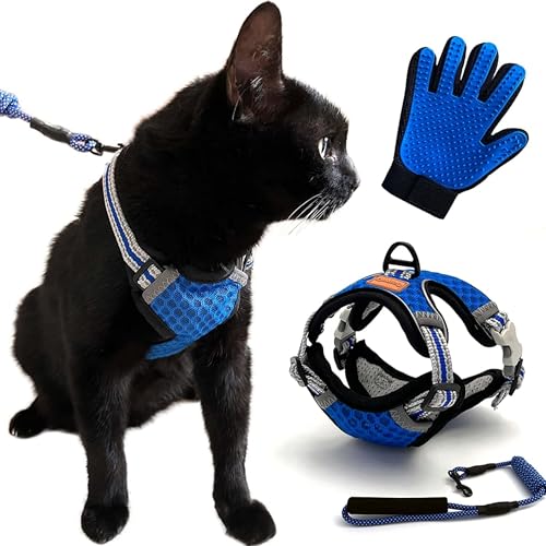 CutePet,Anti-Ausfluchtgeschirr für Kätzchen, Katzen für Erwachsene, Welpen, kleine Hunde, Kaninchen mit Handschuh, Katze, verstellbar, mit Leine,atmungsaktives Netz und reflektierendes Band (M, blau) von Cute Pet