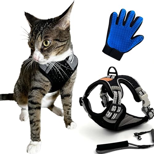 CutePet,Anti-Ausfluchtgeschirr für Kätzchen, Katzen für Erwachsene, Welpen, kleine Hunde, Kaninchen mit Handschuh, Katze, verstellbar,atmungsaktives Netz und reflektierendes Band (M, schwarz) von Cute Pet