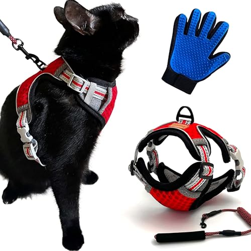 CutePet,Anti-Ausfluchtgeschirr für Kätzchen, ausgewachsene Katzen, Welpen, kleine Hunde, Kaninchen mit Handschuh, Katzenfaar, verstellbar,atmungsaktives Netz und reflektierendes Band (S, rot) von Cute Pet