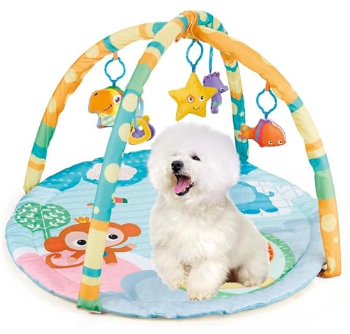 Cutie Patootie Playhouse Puppy Play Gym – Hundespielmatte & Katzenspielmatte – Haustier-Aktivitätszentrum mit Quietschspielzeug – interaktive sensorische Matte für Haustiere (geeignet für Hunde und von Cutie Patootie Playhouse