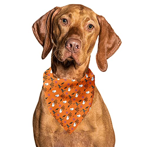 CUTIE TIES Halloween-Hundehalstuch, kühlendes Material, Premium-Qualität, Bandanas für Hunde, niedliche Hundehalstücher in Zwei Größen, Hundehalstuch für alle Rassen (Halloween, klein (34,9 x 34,9 x von Cutie Ties