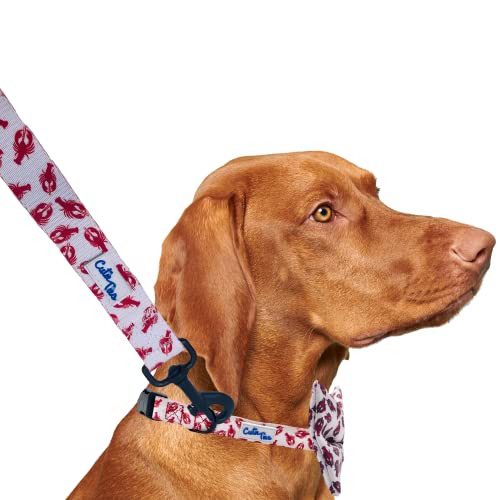 CUTIE TIES Hundeleine, Hummer, strapazierfähiges Nylonmaterial, hochwertige Leine für Hunde, ausgefallene Leinen, niedliche Hundeleine in zwei Größen – (Hummer, klein (1,6 cm x 1,5 m) von Cutie Ties