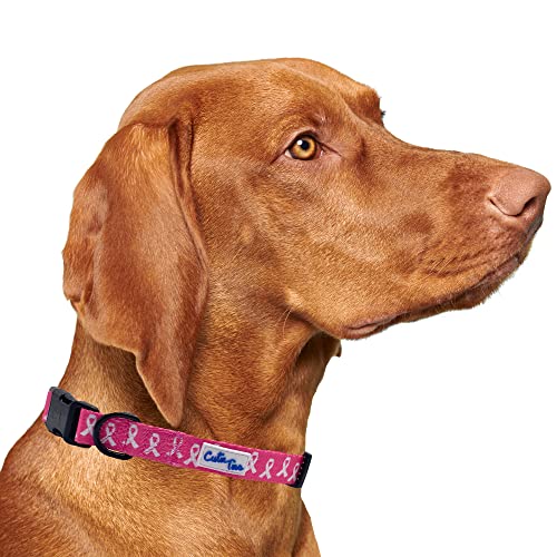 Cutie Ties Breast Cancer Awareness Hundehalsband mit robustem Verschluss und Schnalle, aus robustem und strapazierfähigem Nylon, Größe M (33 x 50,8 cm) von Cutie Ties