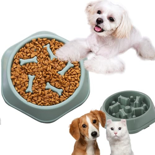 Hundenapf Langsame Fütterung,Anti Schling Napf Hund Hundenapf,Antischlingnapf Hunde,Schlingnapf Hunde,Slow Feeder Dog Bowl,Futternapf für Katzen und Kleine Hunde,Futternapf Hund von Cutiolly