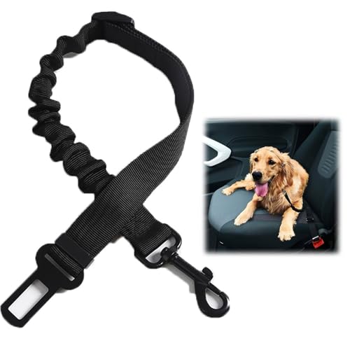 Cutiolly Hunde Sicherheitsgurt für Auto,Anschnallgurt Hund Auto,Anschnallgurt Hund,Hunde Sicherheitsgurt,Hundegurt fürs Auto,Verstellbarer Hundegurt aus Elastischem Nylon für Hunde und Katzen,Schwarz von Cutiolly