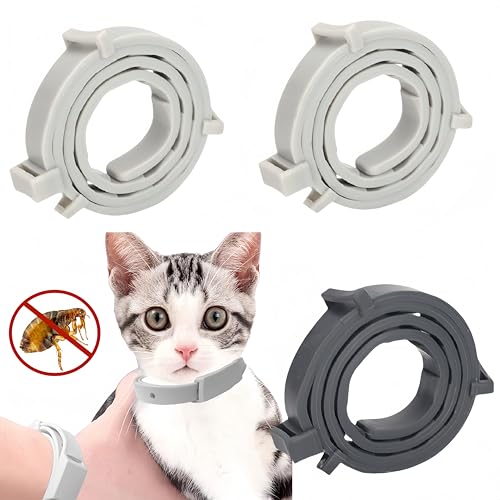 Flohhalsband für Katzen,3pcs Flohhalsband Hunde Klein,Zecken Flohschutz Halsband,Zeckenhalsband für Katzen,Zecken Flohband Katze,Floh Zeckenhalsband für Hunde und Katzen,Wasserdicht und Verstellbar von Cutiolly