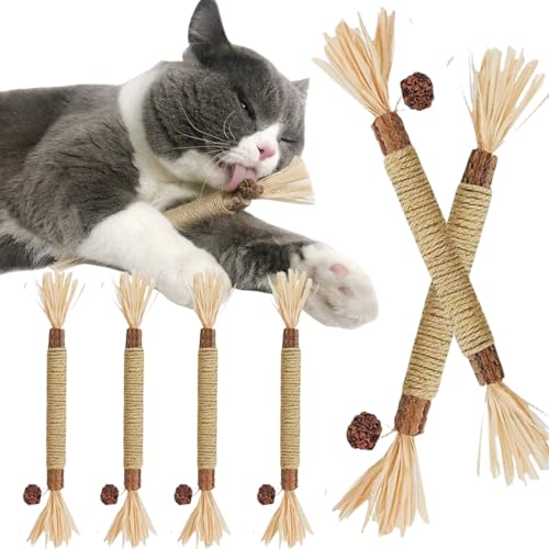 Katzenminze-Spielzeug für Katzen, 6 Stück, Matatabi Silvervine Kaustäbchen, Katzenspielzeug, Silvervine Sticks, Kätzchen-Kaustäbchen, Beißspielzeug, Katzenminze-Spielzeug für den Innenbereich, zum von Cutiolly