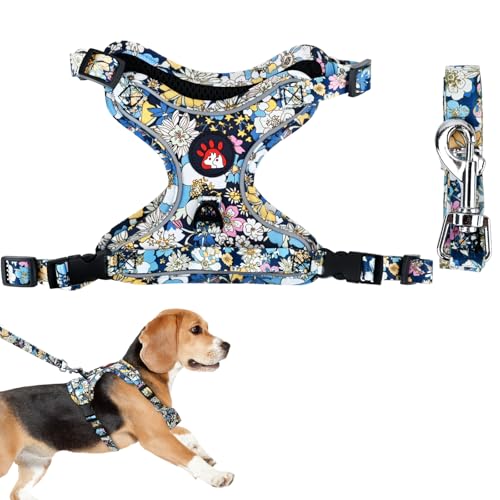 CutitiUU Hundegeschirr-Set,verstellbar,Haustier Brust zurück mittel Hund Gänseblümchen Leine,Hundegeschirr + Leine,Gänseblümchen Basic Hundehalsband-Set,Verstellbare Geschirr Hund ohne Würgen (M) von CutitiUU