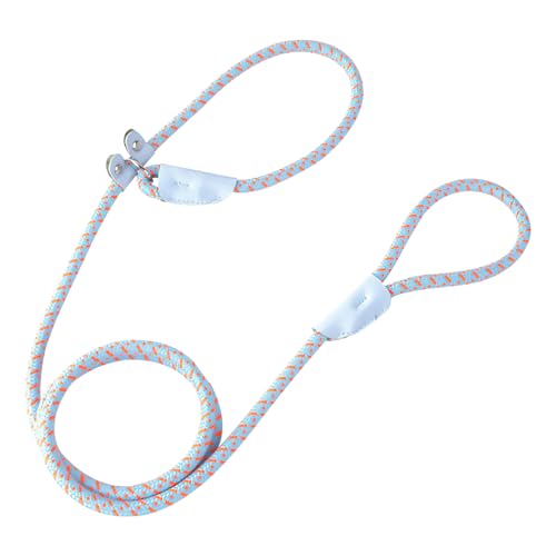 CutitiUU Hundeleine Robuste Nylon-Hundeleine StrapazierfäHige Hundeleine 1,8 M Hundeleine Aus Seil Hunde Leine mit Seil für Mittlere und Kleine Hunde zum Trainieren und Gassi Gehen (Blau) von CutitiUU