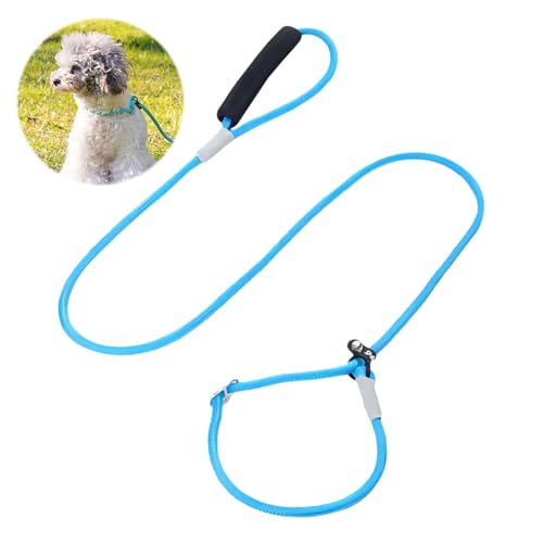 CutitiUU Robuste Nylon-Hundeleine,Einteilige Hundeleine aus Nylon,Hundetrainingsleine Explosionssicherer Punch,Retrieverleine für Hunde,Rutschleine für Hunde,für Mittlere Hunde (Blau) von CutitiUU