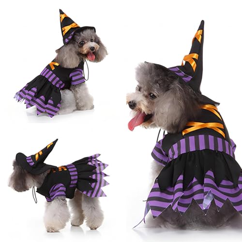 Halloween Haustier Kostüm Set Vampir Pirate Haustier Kostüm Halloween Haustiere Dekoration Für Hunde Welpen Katzen Katze Kragen Und Hut Kitty Welpen Outfits Für Halloween Party Haustier Cosplay (A) von CutitiUU