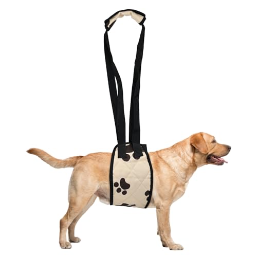 Hundelift-Geschirr Einstellbares Hundehebegerät mit Rutschfester Schnalle Hundeunterstützung und Reha-Geschirr Reha-Geschirr für schwache Hinterbeine, Soft Sling Assist Haustier Reha Lifts Weste (B) von CutitiUU