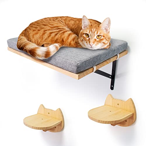 Katzenliege für Wandmontage Und 2 Katzenschritte Floating Wall Regal Wandmontierte Katzenbett Kletterwand Set Katzenplattform Katzenständer Eisenrahmen Haustier Kätzchen Möbel zum Schlafen Spielen von Cuyacili